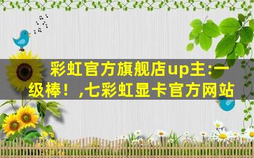 彩虹官方旗舰店up主:一级棒！,七彩虹显卡官方网站